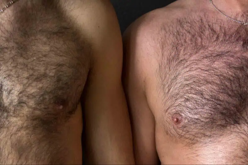 Bears, Cubs & Followers